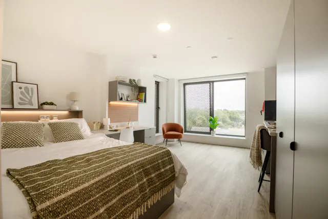 Executive Studio room image 1