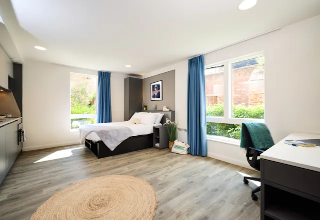 Accessible Room room image 2