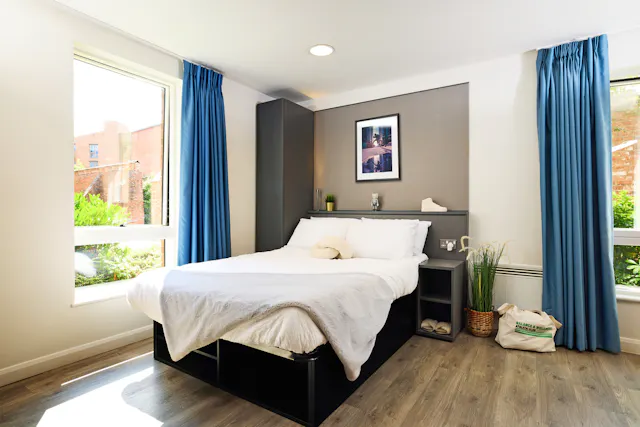 Accessible Room room image 3