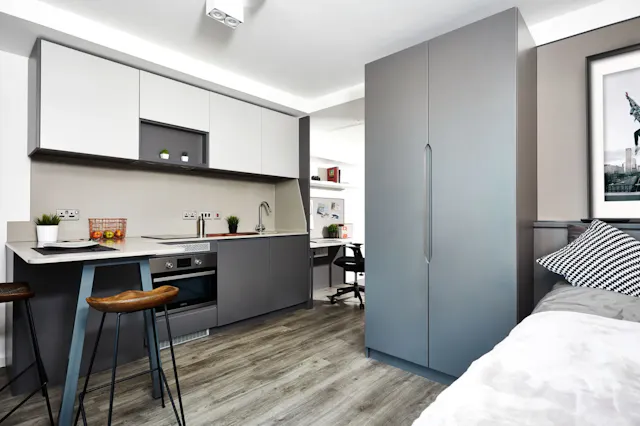 Accessible Room room image 1