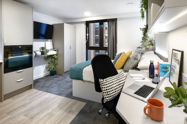 true Accessible Studio room image 1