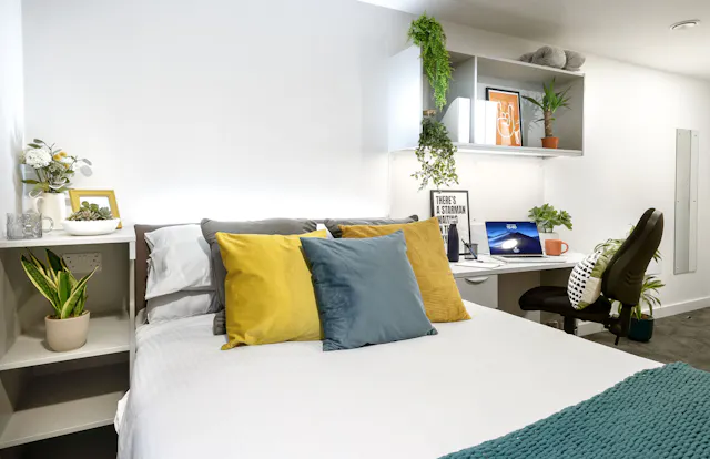 true Accessible Studio room image 4