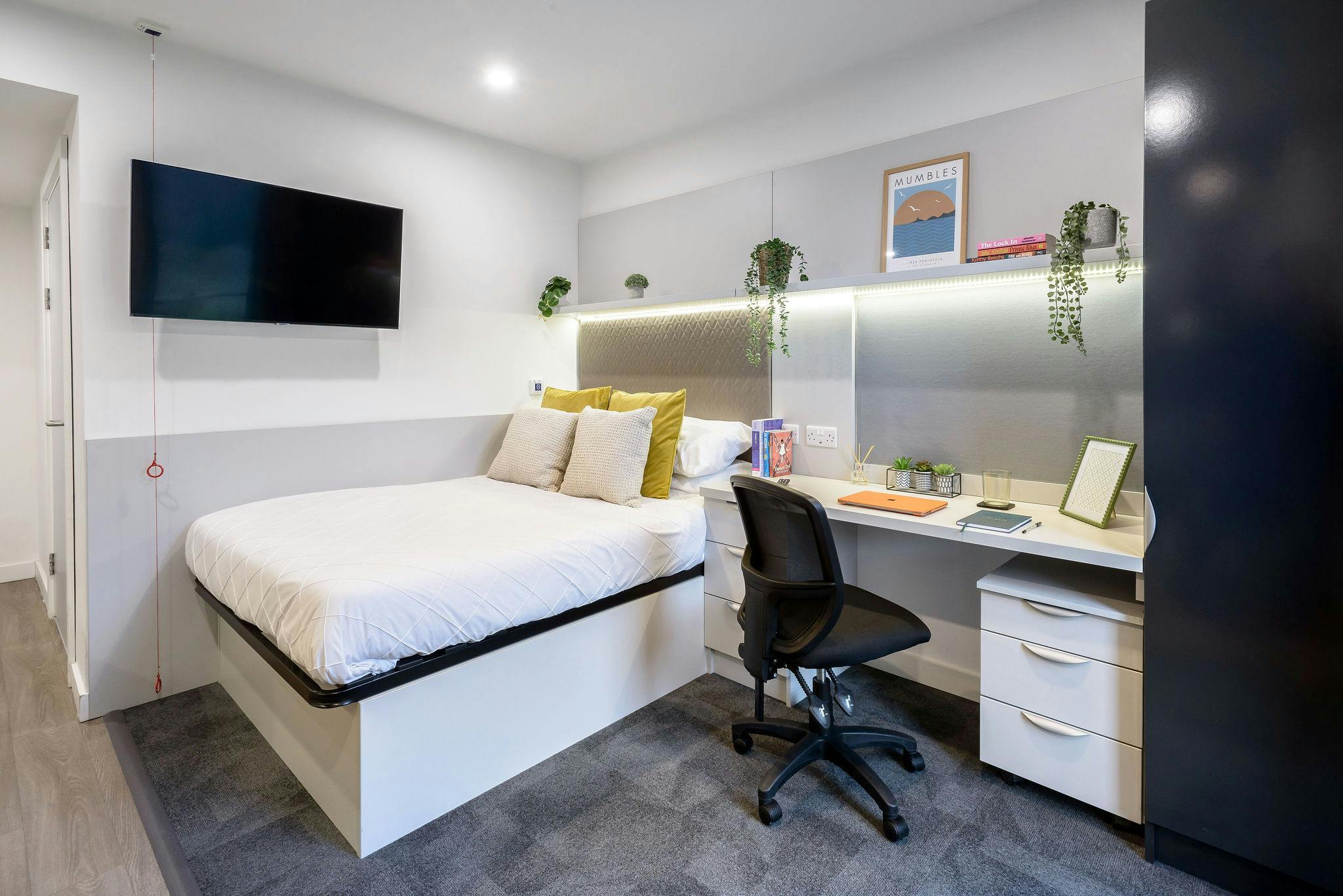 true Accessible Studio