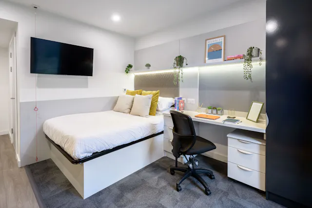 true Accessible Studio room image 1