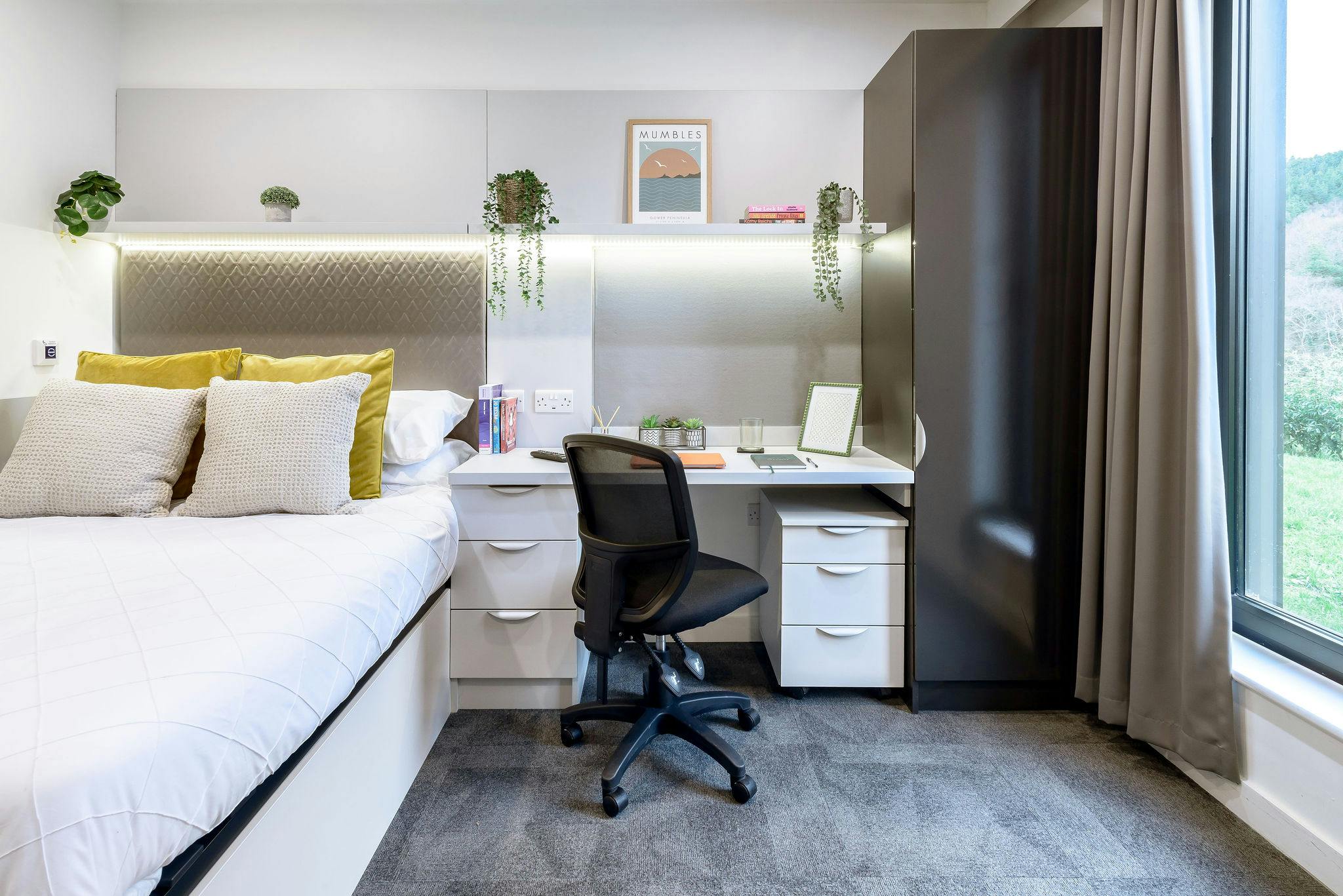 true Accessible Studio