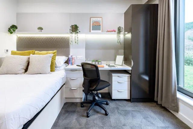 true Accessible Studio room image 2
