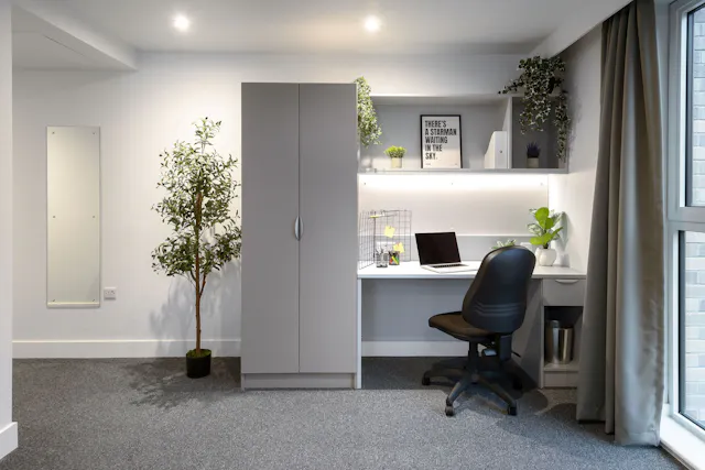 true Accessible Studio room image 3
