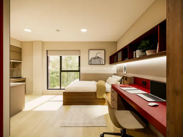 Accessible Studio room image 1