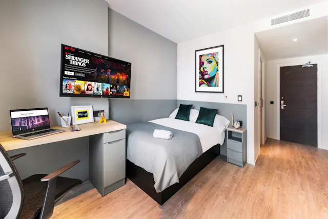 Accessible Room room image 1