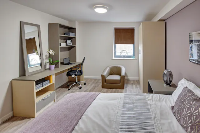 Apartment Premium Deluxe room image 1