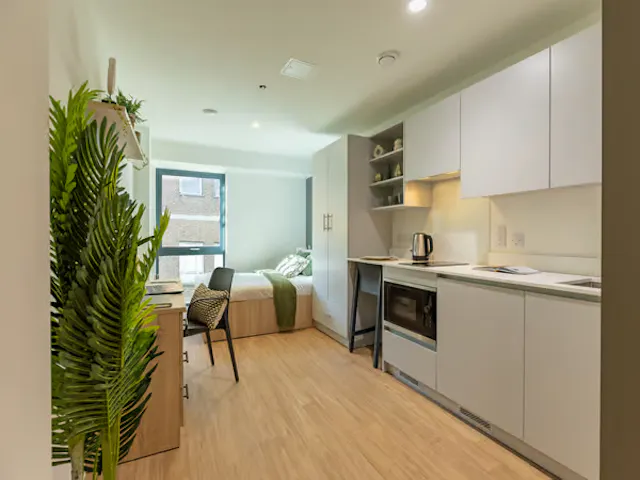 Accessible Studio room image 1