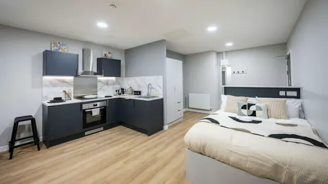 Premium Plus Studio room image 1