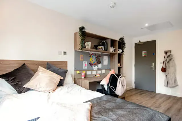Standard Ensuite Plus room image 2