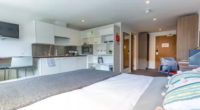 Large Studio room image 1