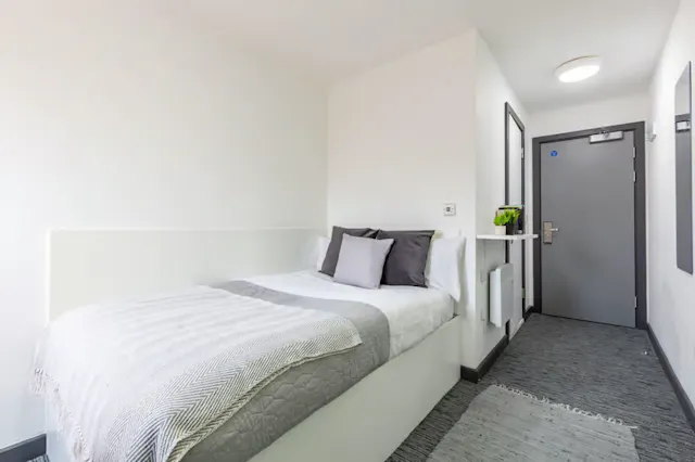 Standard Plus room image 1