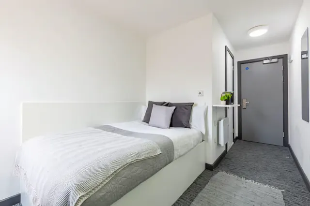 Standard Plus room image 1