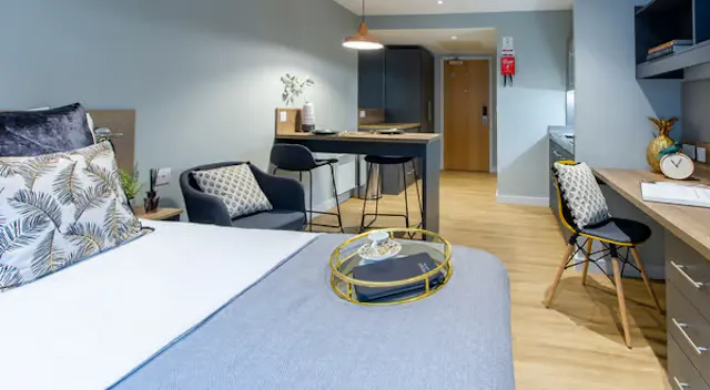 Premium Superior Studio room image 1