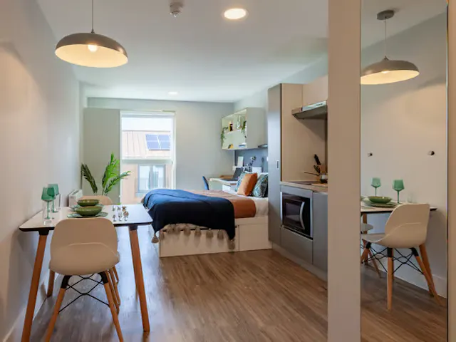 Superior Studio room image 1