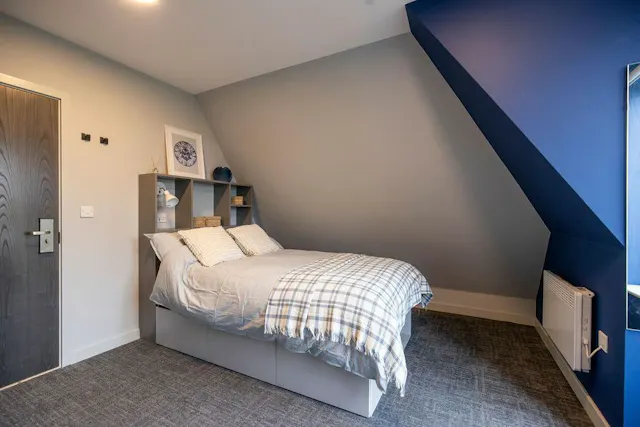 Deluxe Twodio room image 1
