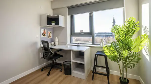 Premium Plus Studio