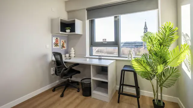 Premium Plus Studio room image 2