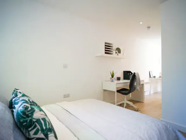 Deluxe Studio room image 2
