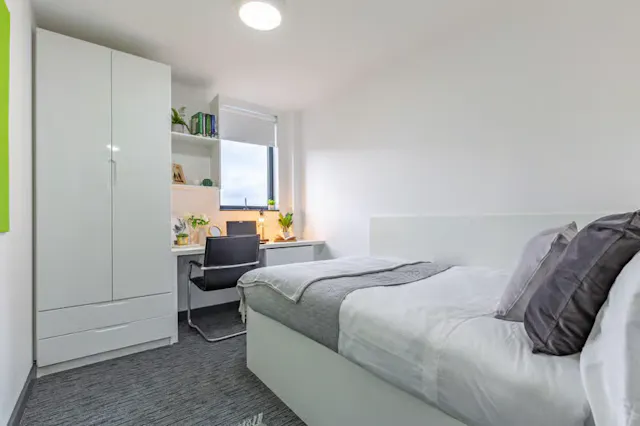 Standard Plus room image 2