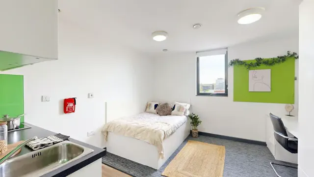Premium Studio room image 2