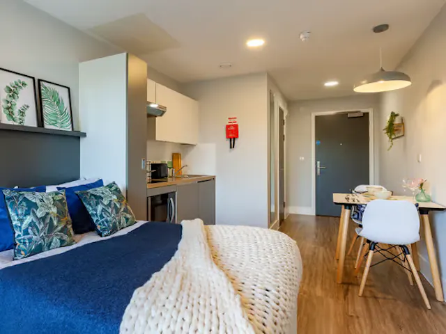 Superior Studio Terrace room image 4