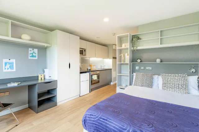 Premium Plus Studio room image 1