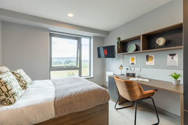 Classic Studio room image 1