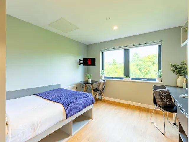 Premium Plus Studio room image 3