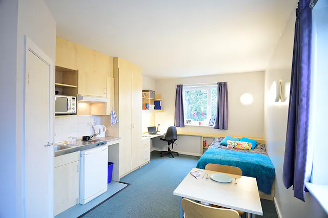 Large Ensuite Studio room image 1