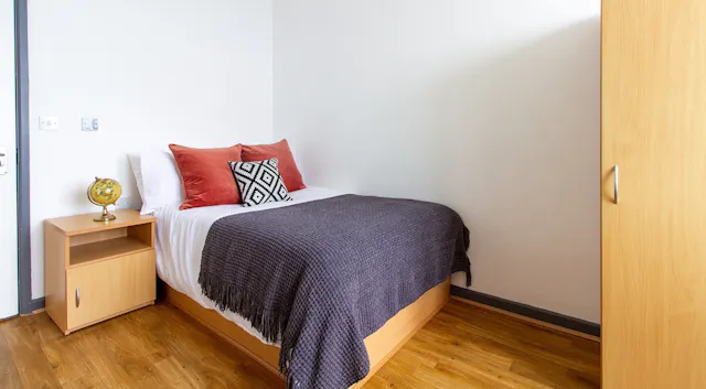 Bronze Plus Single Room room image 1
