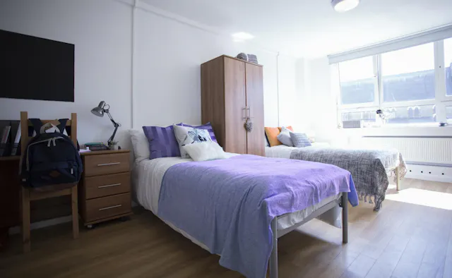 Bronze Twin Studio room image 1