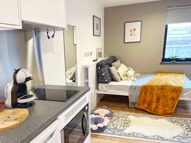 Premium Studio room image 1