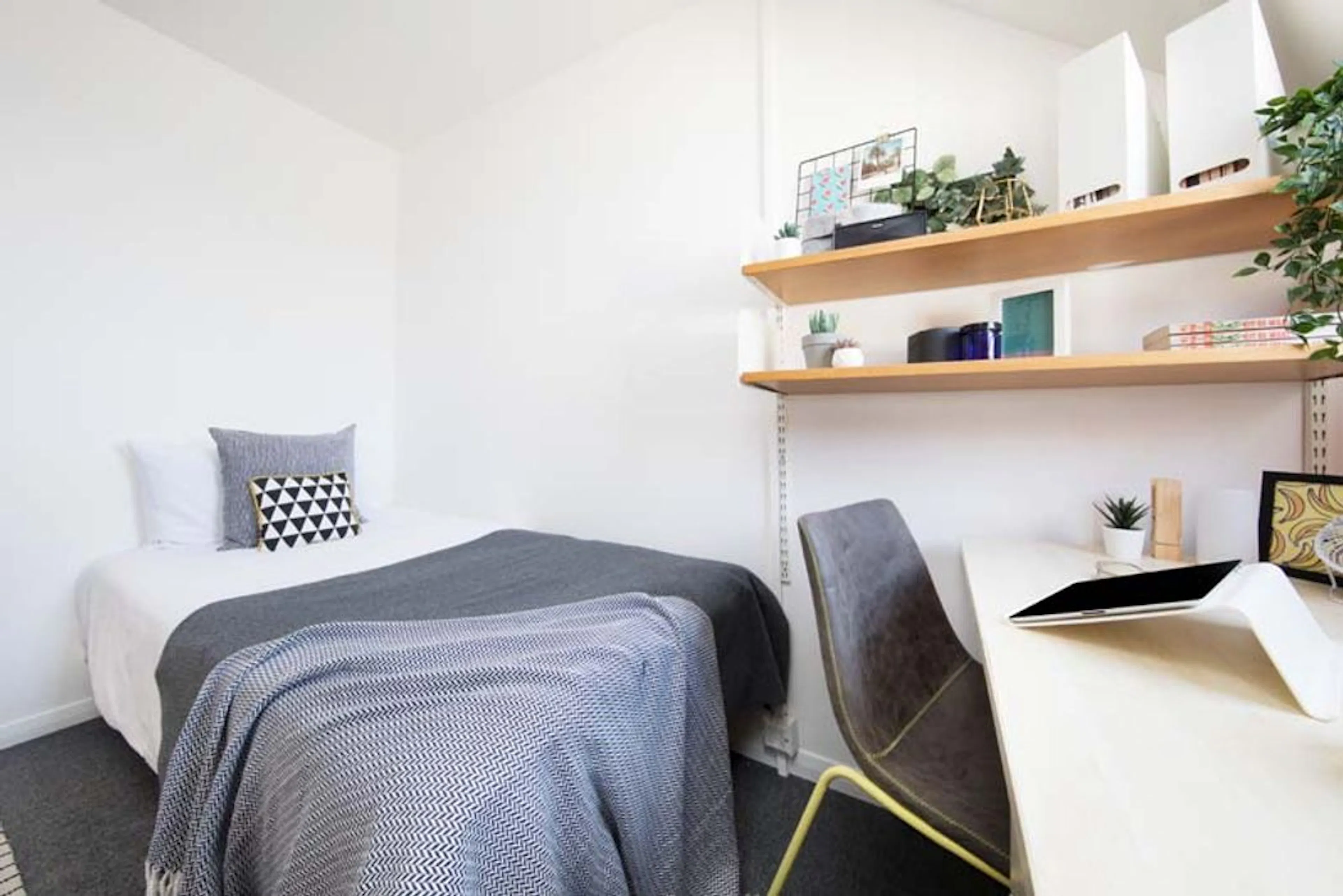 Non En-Suite, Basic ROOM 1