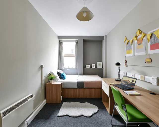 Basic Studio room image 1