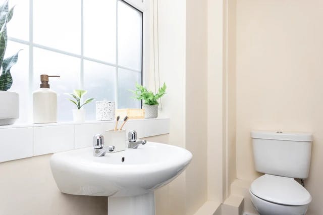 Extra Large Standard Single Studio