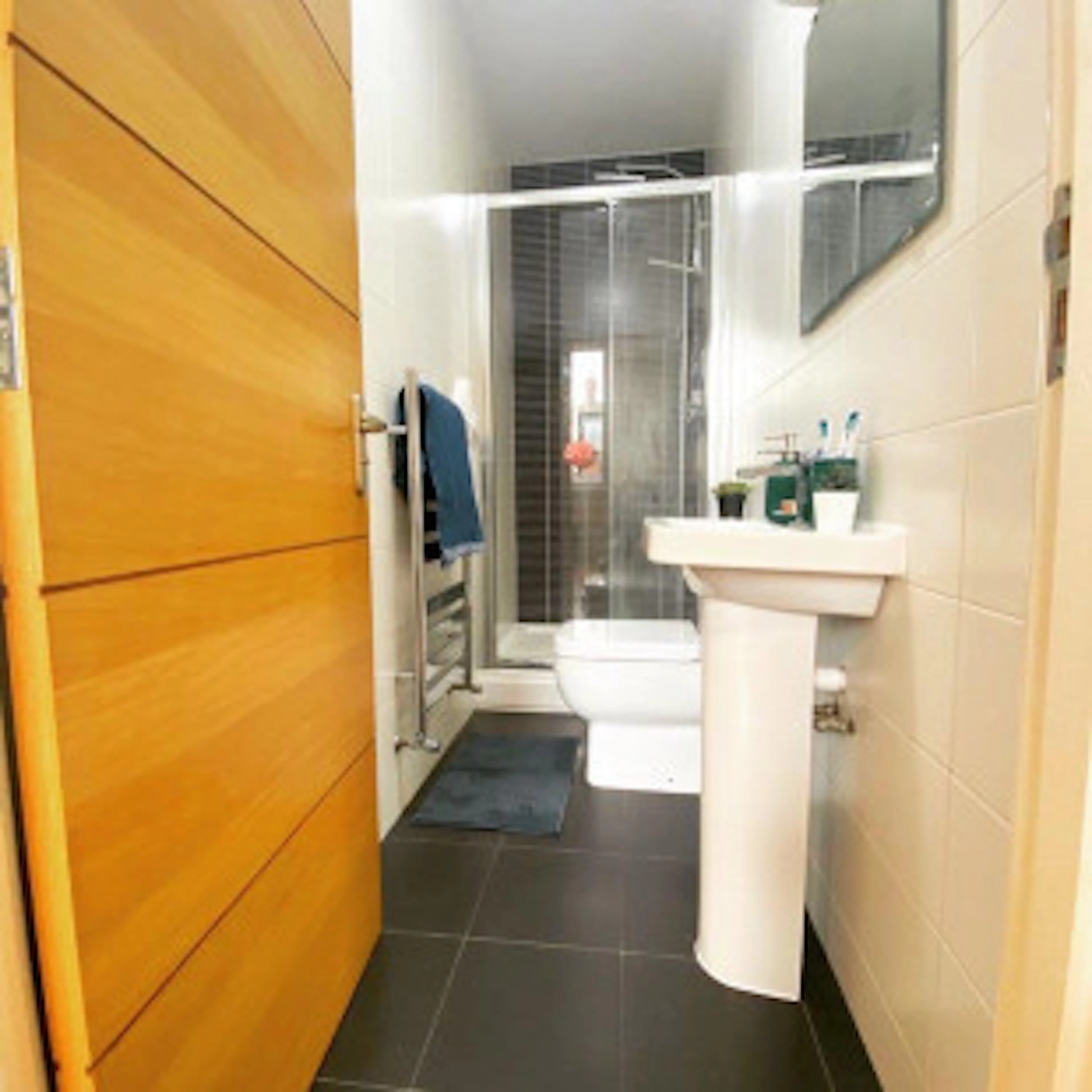Large Premier BATHROOM 3