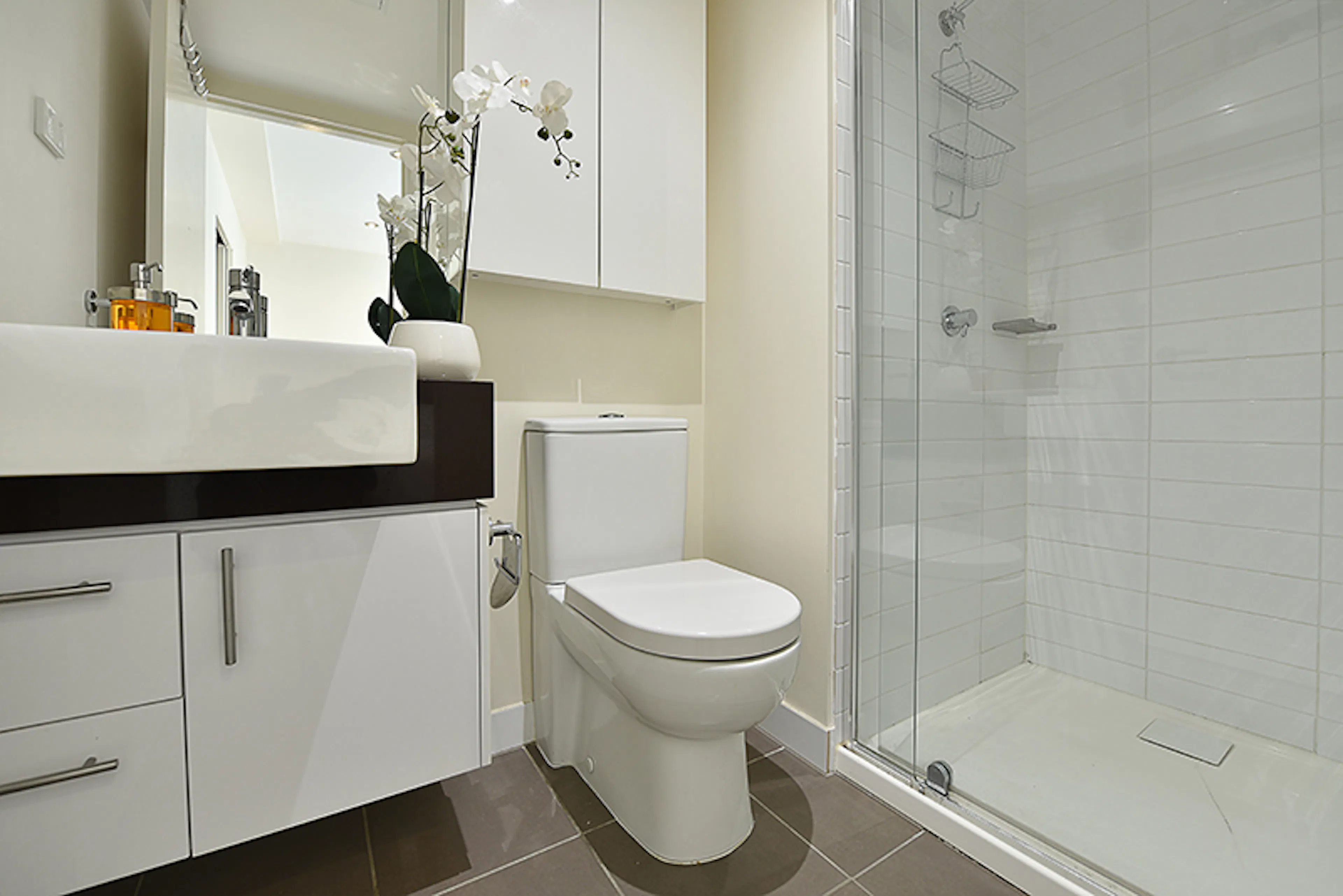 2 Bedroom, 2 Bathroom Apartment BATHROOM 3