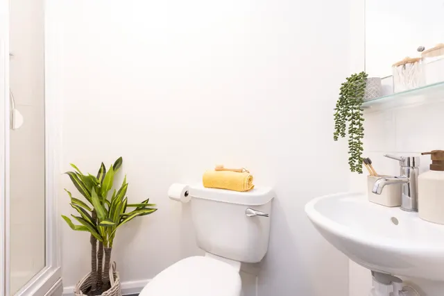 Ensuite: Three Bed Flat Large High Double