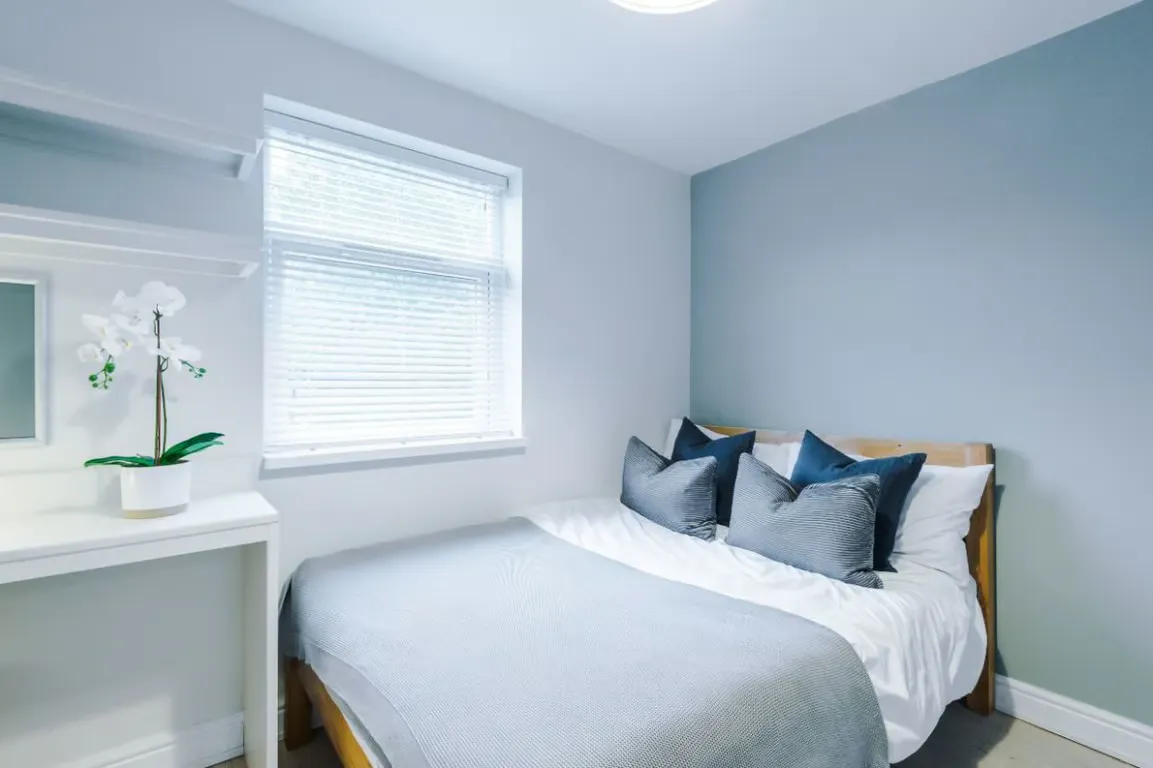 9 Bedroom Apartment ROOM 3
