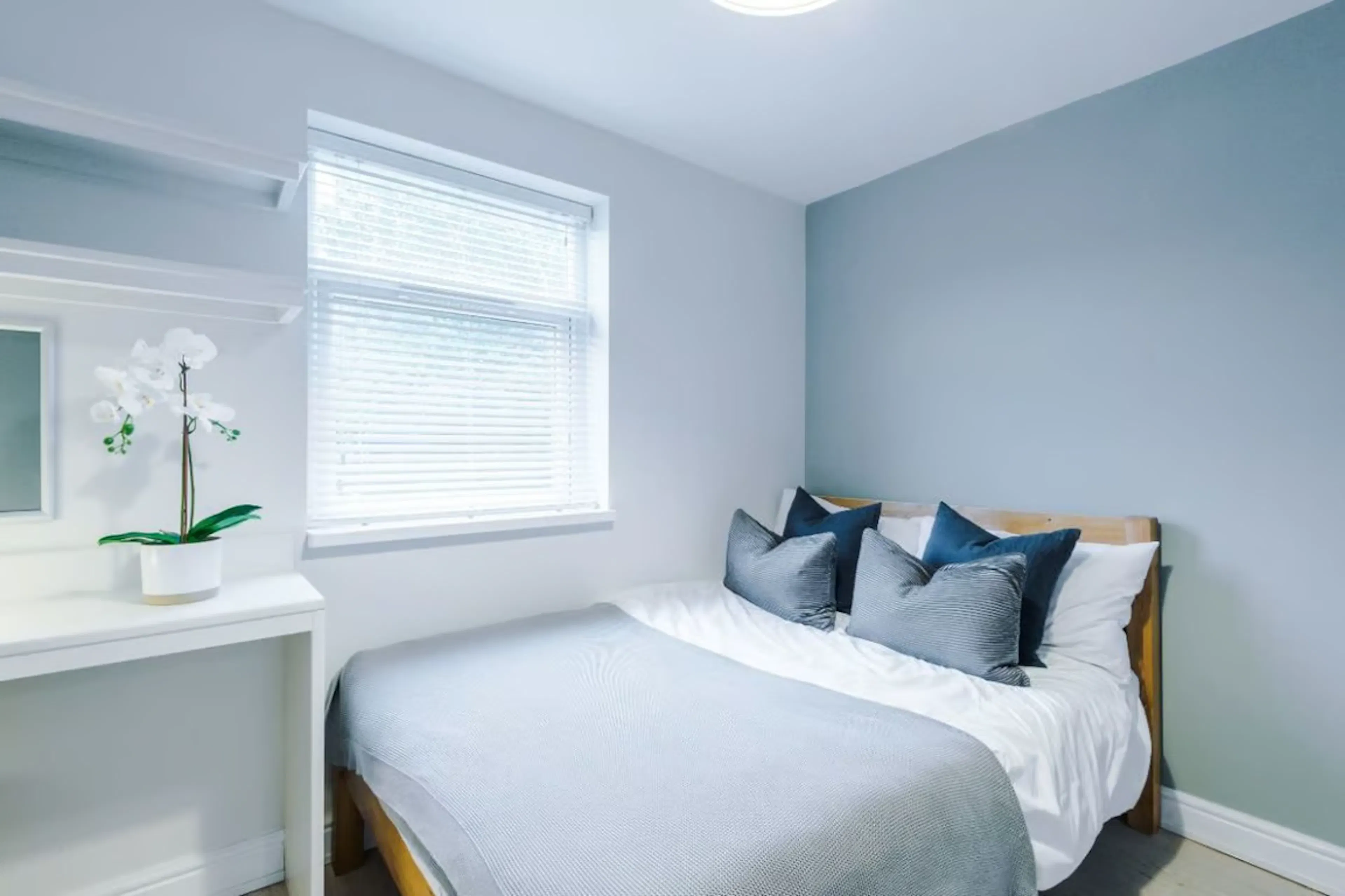 9 Bedroom Apartment ROOM 3