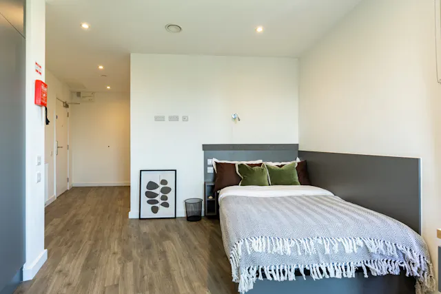 Platinum Studio  room image 2