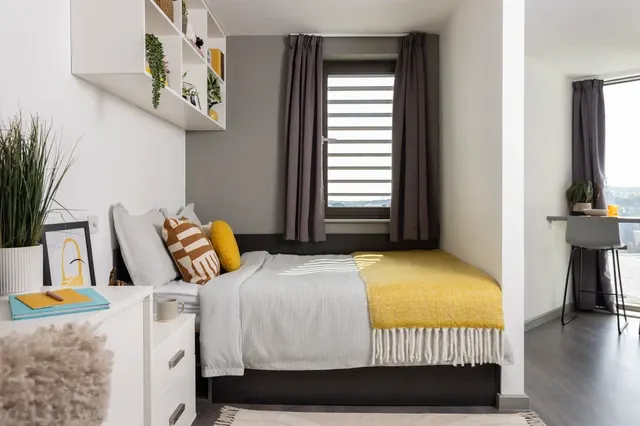 Studio Large Standard Double room image 1
