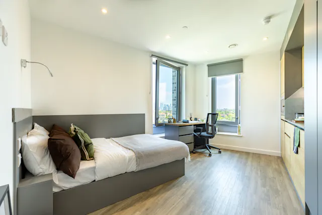 Platinum Studio  room image 1