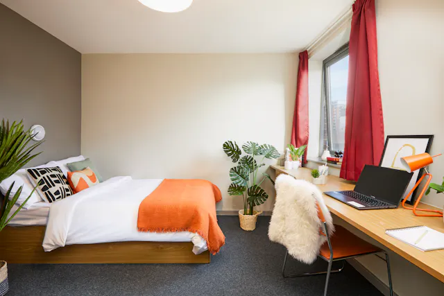 Accessible En-Suite, Classic room image 1