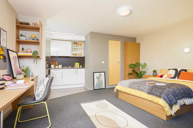 Platinum Studio room image 2