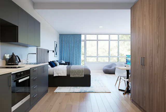 Superior Studio room image 1